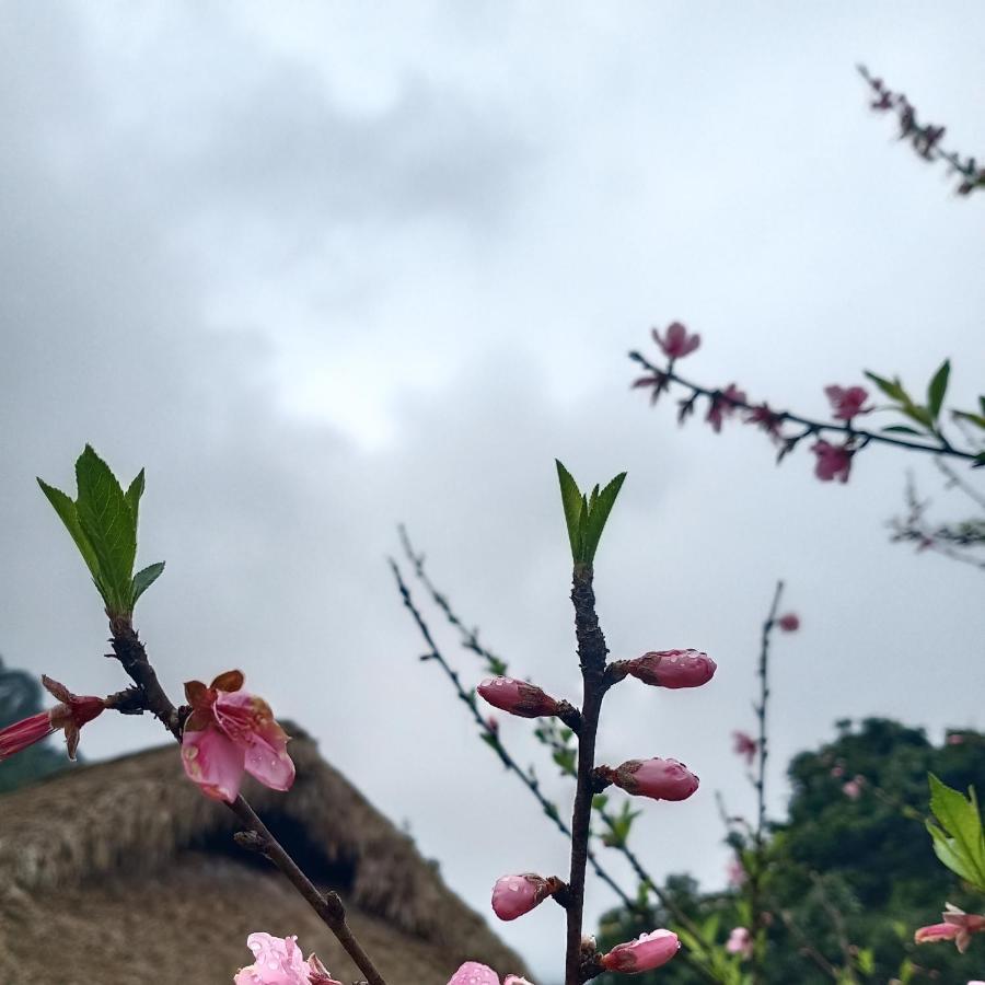 Dao Homestay Hoàng Su Phì エクステリア 写真