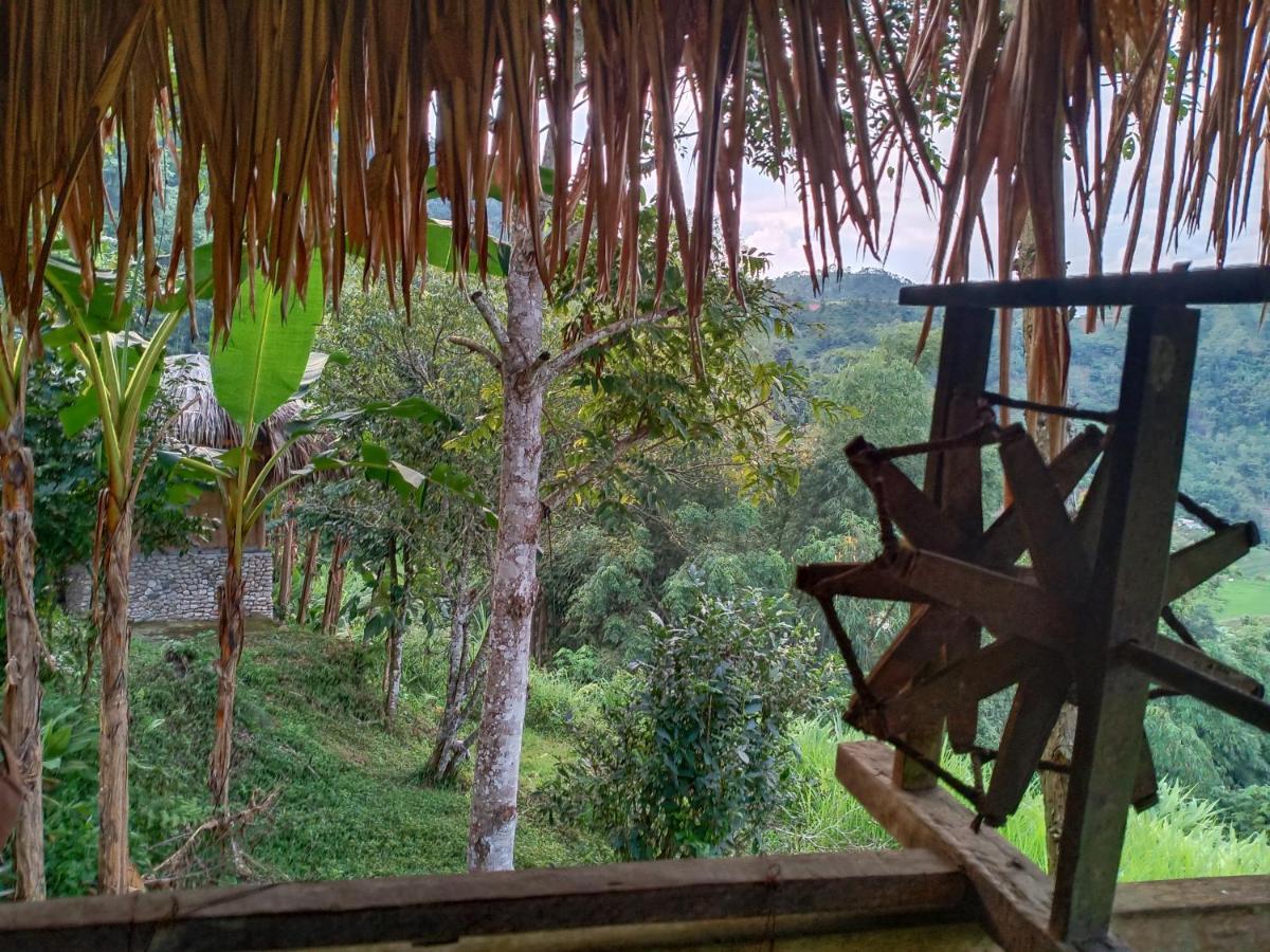Dao Homestay Hoàng Su Phì エクステリア 写真