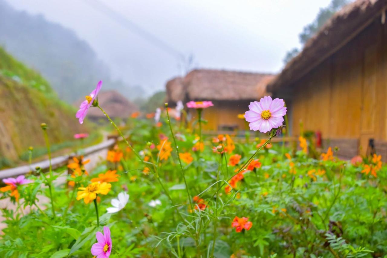 Dao Homestay Hoàng Su Phì エクステリア 写真